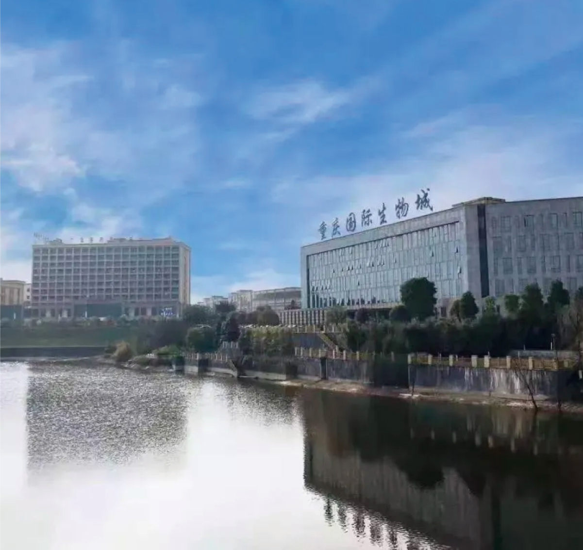 中實業績圖片整理_畫板 1 副本 14.jpg